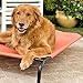 Coolaroo Original Elevated Dog Bed - Breathable Off-The-Ground Pet Bed with Cooling Fabric, Joint Relief & Moisture-Resistant Fabric, 100% Recyclable, Easy Clean, Terracotta, Extra Large