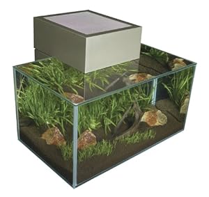Swell Aqua Oasis Aquarium 30cm