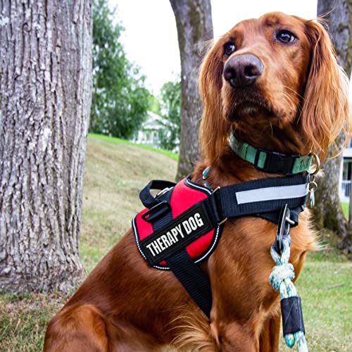 12 Pieces Service Dog Therapy Dog Don't Pet in Training No Touch Full Embroidered Badge Emblem Patch for Service Dogs Harness Vest Clothes