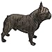 Comfy Hour Doggyland Collection, Miniature Dog Collectibles 6” Standing French Bulldog Figurine, Realistic Lifelike Animal Statue Home Decoration, Brindle, Polyresin
