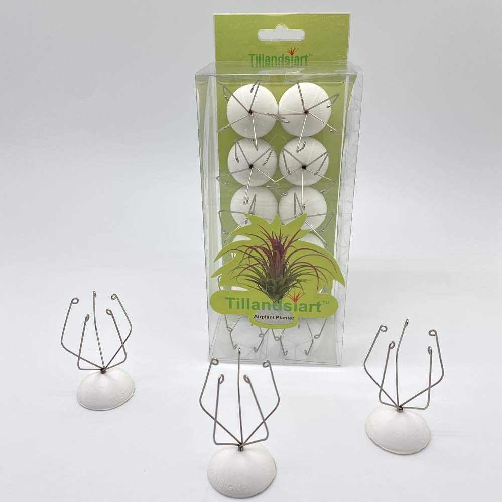 Photo 1 of Tillandsiart 10 Pack Wall Mount Air Plant Holder (Adhesive tape,Stainless Steel Tillandsia Air Plant Planter)A Unique Set of Air Plant Containers for Creating Tillandsias Art Display On Wall (Medium)