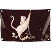 3x5 Feet Funny Flag Picture of Mouse Meme - Four Brass Grommets - Single Sided Cool Banner for Room - Funny Polyester Bright Tapestry for Bedroom Guys - Funny Wall Flags for College Dorm
