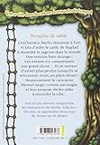 Image de La Cabane Magique, Tome 29 (French Edition)