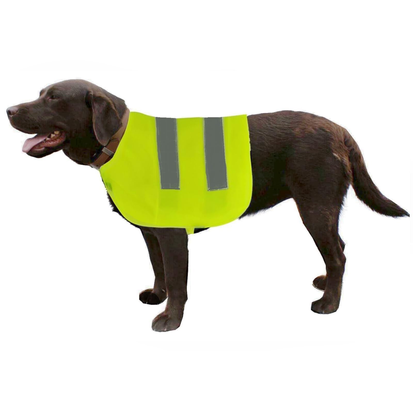 Fashion by Purdashian Fashion By Purdashian Reflective Dog Coat | Hi Vis Dog Coat | Dog High Vis Vest With Adjustable Straps | Highly Reflective Lightweight Cotton Dog Jacket (M)