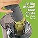 Hamilton Beach Pro Juicer Machine, Big Mouth Large 3