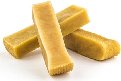 all white golden retriever