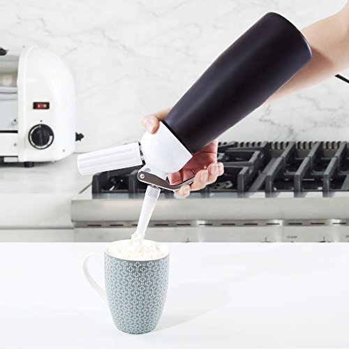Impeccable Culinary Objects (ICO) Professional Aluminum Cream Whipper, Black