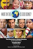 What In the World Is God Doing?: The Essentials of Global Missions by 
