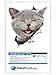 Winston & Bear 3D Cat Stickers - 2 Pack - Laughing Grey Cat Decals for Wall - Fridge - Toilet - Car - Retail Packaged