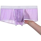 JINSHI Men’s Bulge Pouch Underwear Sexy Silk Sheer Underwear for Men Ultra Thin Dual Pouch Male Panties M L XL 2XL 3XL