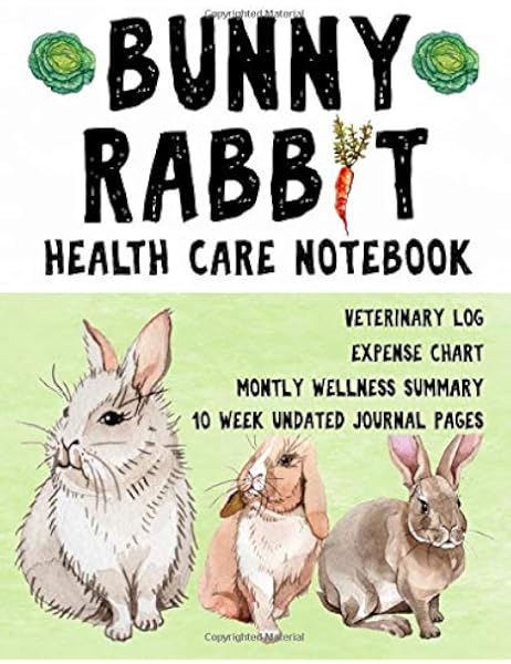 bunny veterinary care