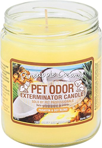 SPECIALTY PET PRODUCTS PET ODOR EXTERMINATOR CANDLE, PINEAPPLE & COCONUT –