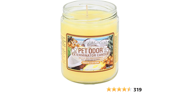Amazon Com Pet Odor Exterminator Candle Pineapple Coconut Pet Supplies