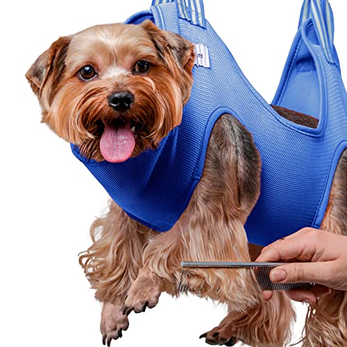 B&m Retail Puppy Harness B&m Dog Grooming Leash Holder Dog