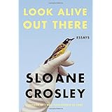 Look Alive Out There: Essays