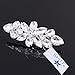 Santfe Fashion Crystal Rhinestone Flower Shoe Buckle Shoe Clips for Bridal Wedding Party Shoe Decoration (Silver)