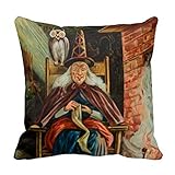 Witch at Fireplace Pillows Cover 18