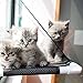 BreTT1QIN9 Pet Cat Window Perch Sunny Seat Strong Suction Cup Kitten Cot Bed Nest Hammockthumb 4