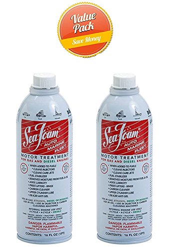 Motor Treatment by Sea Foam, 2 Pack (16 Ounce)