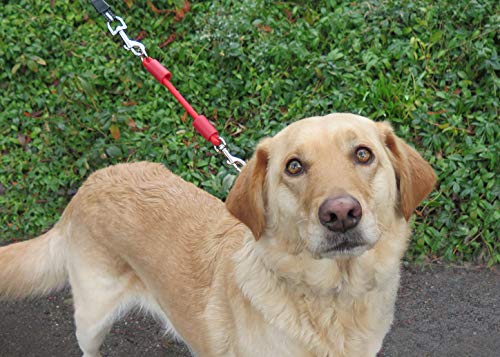 Jerk-Ease Bungee Dog Leash Extension - Small Black - Thumbnail 5