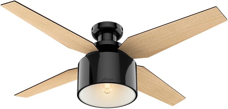 Hunter Indoor Low Profile Ceiling Fan With Light And Remote
