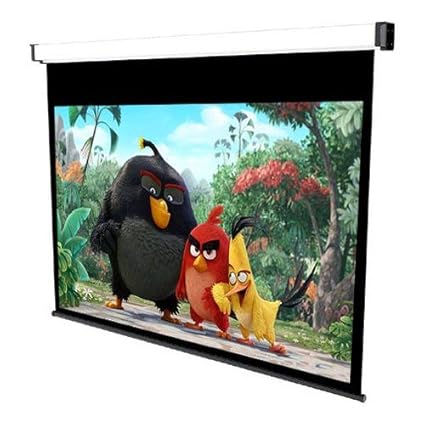 Pantalla para proyector sopar NEMA 240 x 135/3242HT: Amazon.es ...