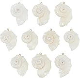CRAFTYMELODY 10Pcs Shell Pendant Seashells Charm Marine Life Shell Charms with Light Gold Tone Iron Loops Summer Ocean Pendant Decor for Bracelet Necklace Jewelry Making Craft Supplies