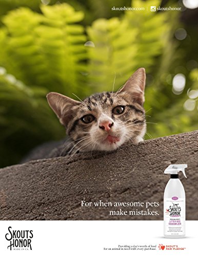 Skout's Honor Professional Strength Litter Box Deodorizer