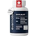NEW Extra-Strength 500mg Per Capsule – Evernate Shilajit Capsules, Pure Himalayan Natural Shilajit for Men & Women, 1 Capsule