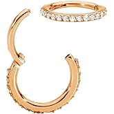 365 Sleepers 316L Surgical Steel Hypoallergenic 16G Gem Septum Jewelry Hinged Segment Ring Body Piercing Hoop Lip Rings Helix Cartilage Rook Sleeper Earrings 7mm – 14mm