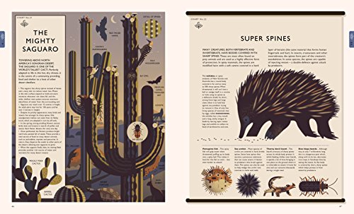 Curiositree: Natural World: A Visual Compendium of Wonders from Nature - Jacket unfolds into a huge wall poster!