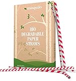 Tranquilo Biodegradable Paper Straws - Red (Box of 100)