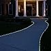 LTE 50 LED Solar Rope Lights, 23ft ,Warm White, Waterproof , Outdoor Solar Rope Lights ,Christmas Lights, Ideal for Decorations,gardens, Lawn, Patio, Weddings, Parties