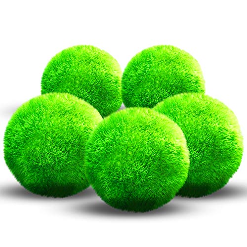 Luffy Large Marimo Moss Balls for Betta Fish, 1.5 Inches, Aesthetically Beautiful Plants, Create Healthy Environment for Aquatic Pets, Natural Toys for Betta Fish, Aquarium Safe, 5 Pack