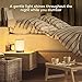 TaoTronics TT-DL033 Rechargeable Touch Sensor Bedside Lamp, LED Table lamp with Internal Battery up to 110 Hours Operation, Dimmable Warm Night Light, Color Changing RGB Light for Bedroom