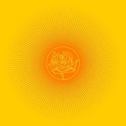 Ryan Adams & The Cardinals - Cold Roses [2 CD] - Amazon.com Music