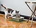 PetSafe Drinkwell Pagoda Pet Fountain - From in Knoxville, TN - Dog Water Bowl Dispenser - Multiple Angles to Drink From - Filters Included - Dog Fountain Provides Water When Power’s Out - Taupe