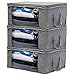 Woffit Foldable Storage Bag Organizers, Great for Clothes, Blankets, Towels, Winter & Summer Clothing, Closets, Bedrooms, Under Bed