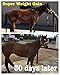 Super Weight Gain 10 lb, Equine Vitamin Mineral, Probiotic & Weight Gain Supplement
