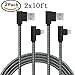 APFEN Angled Lightning Cable Nylon Braided 90 Degree Lightning to USB Cable for iPhone X/8/7/6/5 iPad Pack of 2 (10ft, Grey Black)