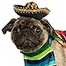 Rubie's Serape and Hat for Pets, Small