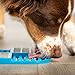 Hyper Pet Lickimat Slomo - Slow Feeder Dog Licking Mat & Boredom Buster (Perfect to Serve Your Dogs and Cats Healthy Treats)