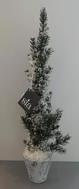 Albero Di Natale Sia.Sia Home Fashion Albero Pino Con Neve Piantina Con Vaso H 43 Cm Art 152165 Amazon It Casa E Cucina