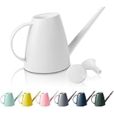 Watering Can for Indoor Outdoor Plants, Modern Small Watering Cans with Removable Nozzle, Long Spout Watering Can for Indoor Bonsai Plants Garden Flowers 1/2 Gallon 1.8L 60OZ (White)