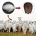 Kitdine Makeup brushes,Wooden Handle Professional Goat hair Pony Hair makeup brush set,Portable cosmetic brush,Make Up brush kit,6 pcs (Black)