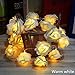 Avanti 20-Light LED Battery-Operated String Light Rose Flower Indoor Outdoor All Occasion Party Decor (Warm White)