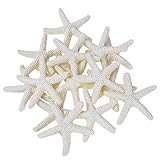 Outus 15 Pieces Beige Pencil Finger Starfish for Wedding Decor, Home Decor and Craft Project, 2.3 Inches