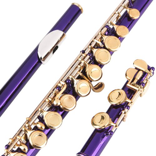 Glory Closed Hole C Flute With Case, Tuning Rod and Cloth,Joint Grease