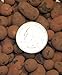 Leca Clay Orchid/Hydroponic Grow Media - 2 lbs. primary