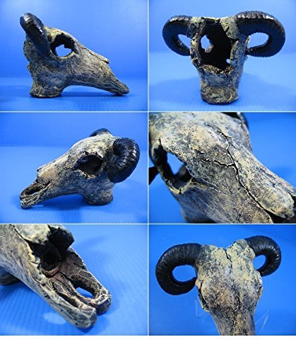 Goat Skull cave 4.9"x4.5"x3.2" Aquarium Ornament Decor resin fish tank hide bone